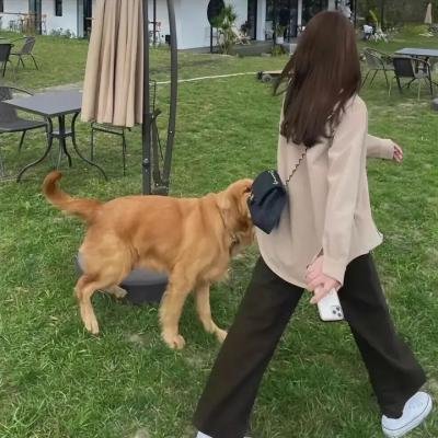 狗奴人生